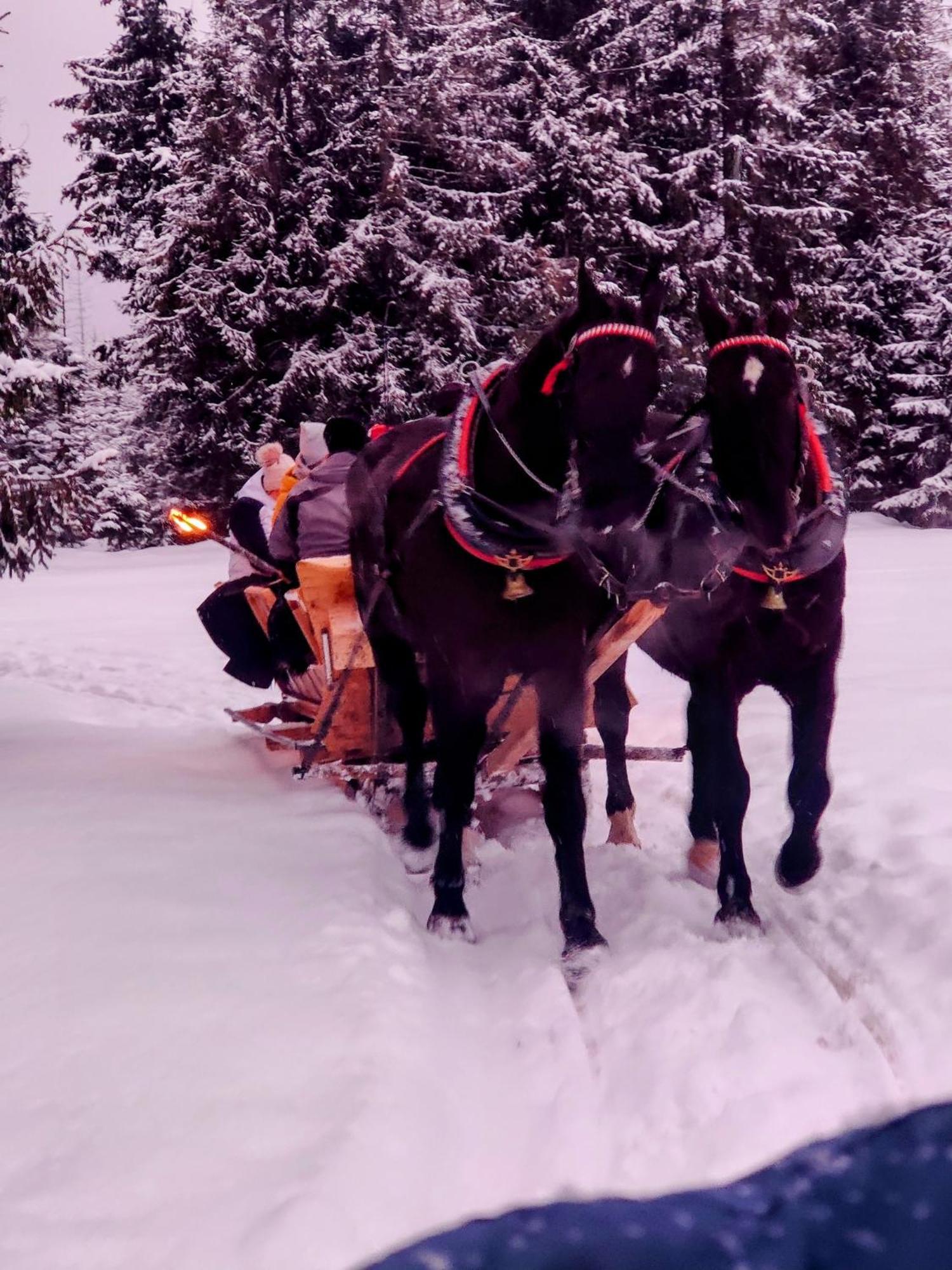 Eco Willa Karpatia Ski&Wellness Murzasichle Eksteriør billede