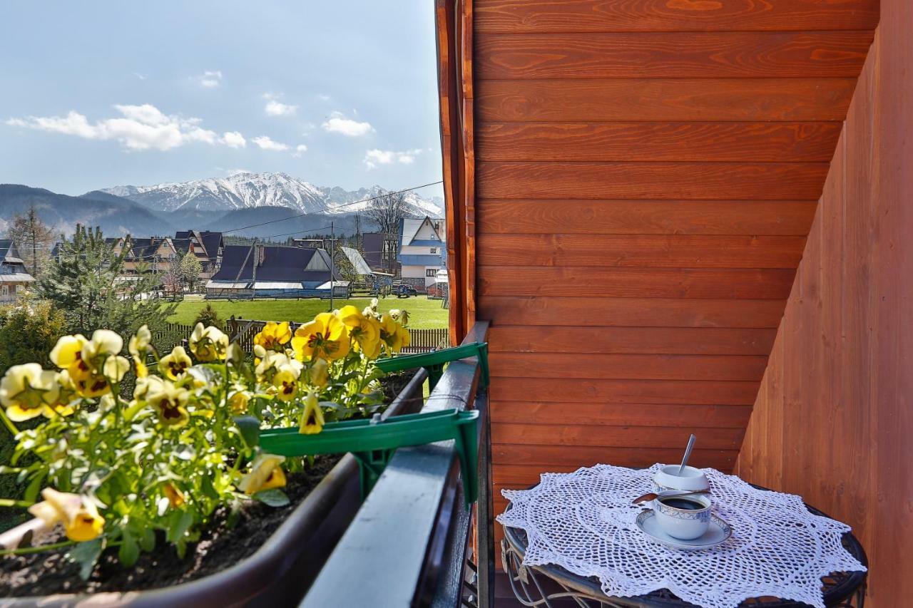 Eco Willa Karpatia Ski&Wellness Murzasichle Eksteriør billede